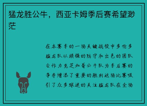 猛龙胜公牛，西亚卡姆季后赛希望渺茫